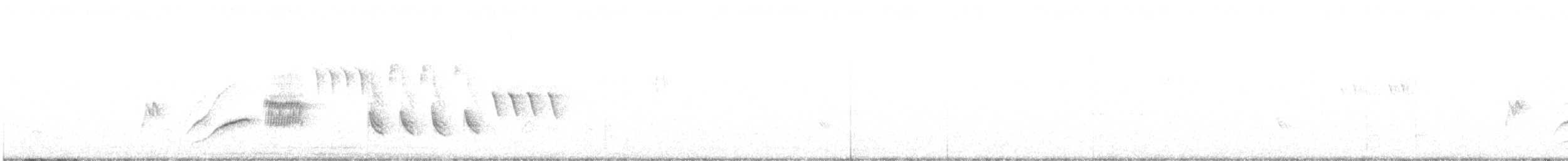 ヒバリヒメドリ - ML216123791