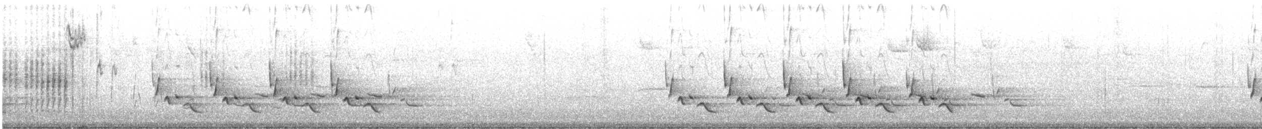 Каролинский крапивник - ML216125261