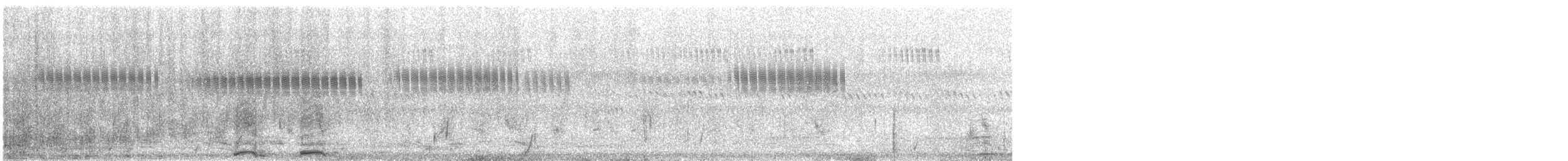 Ibis sacré - ML21612711