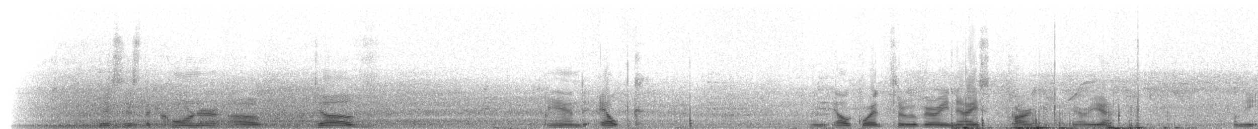 House Finch - ML216135