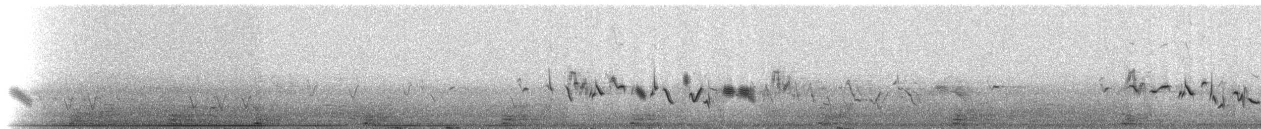 House Finch - ML216136