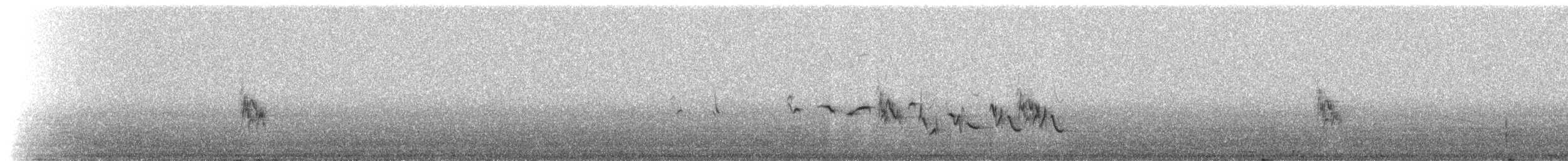 House Finch - ML216137