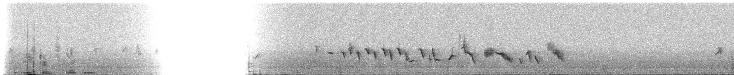 House Finch - ML216138