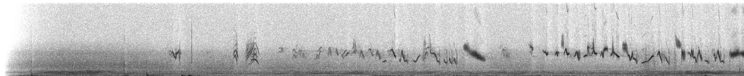 House Finch - ML216139