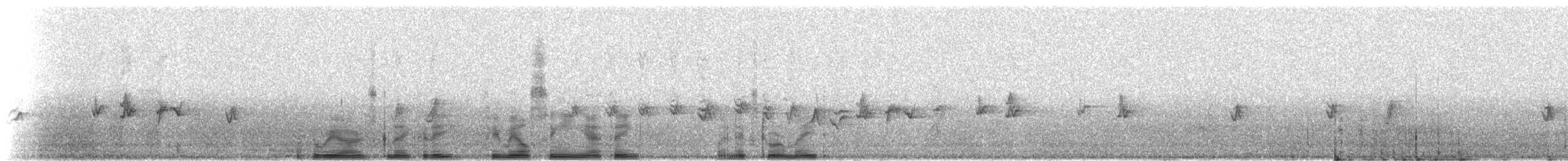 House Finch - ML216140