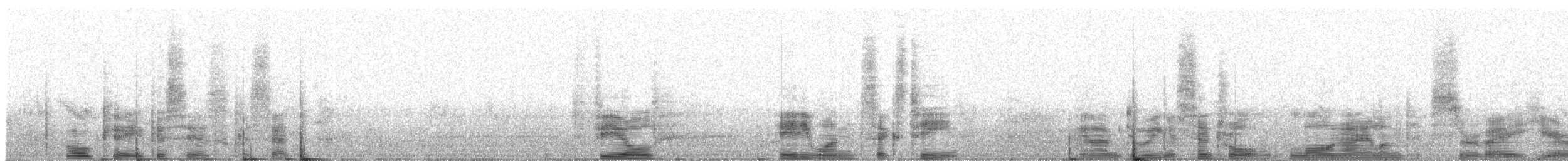 House Finch - ML216141