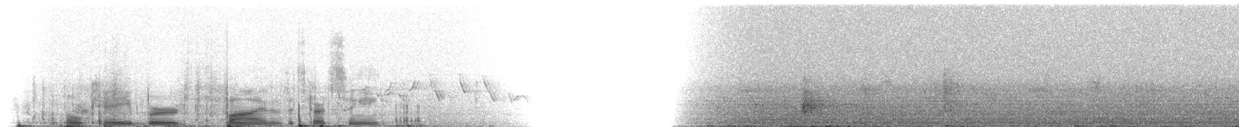 House Finch - ML216145