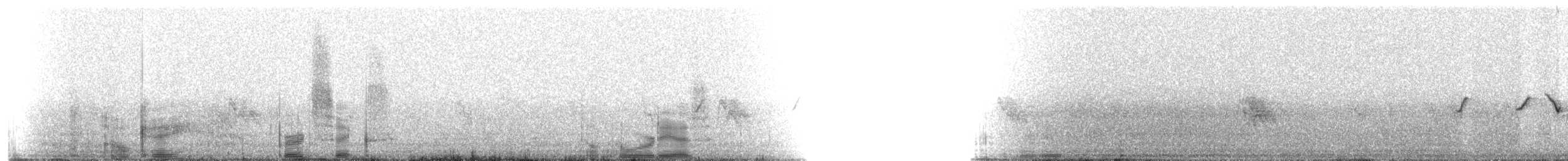 House Finch - ML216146