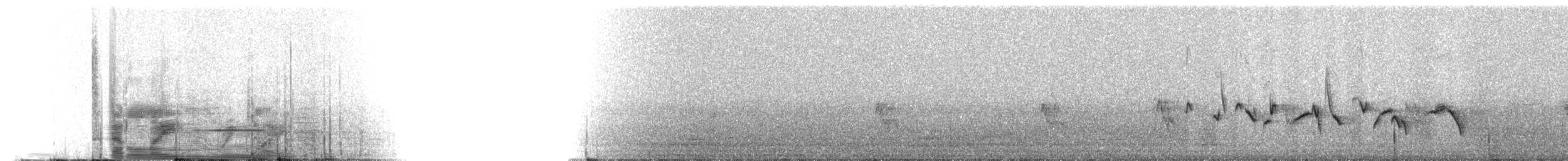 House Finch - ML216147