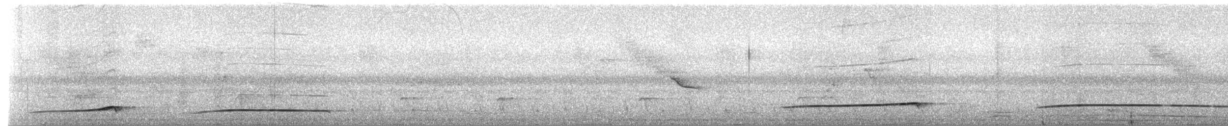 Barred Puffbird - ML216147811