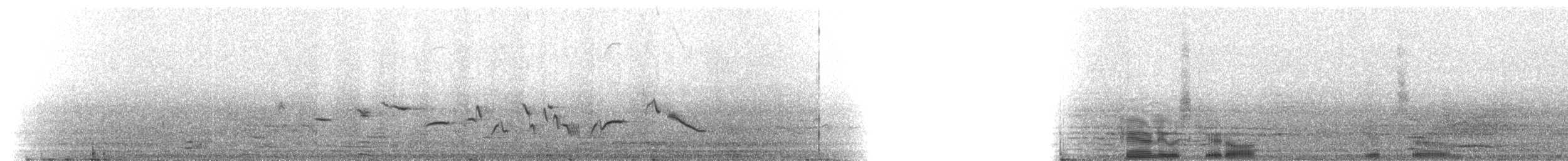 House Finch - ML216148