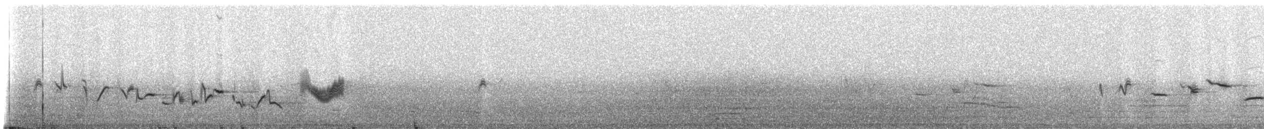 House Finch - ML216149