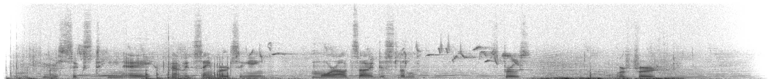 House Finch - ML216151