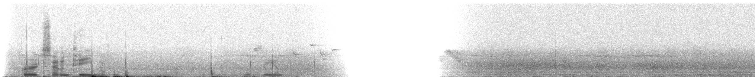 House Finch - ML216152