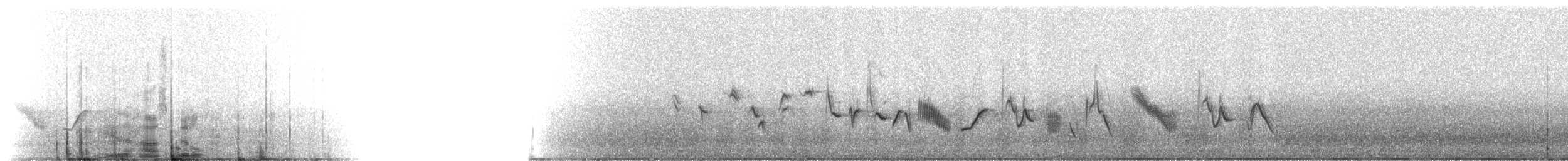 House Finch - ML216153