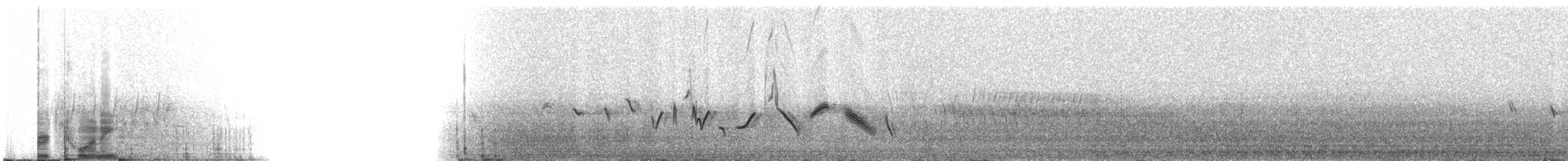 House Finch - ML216155