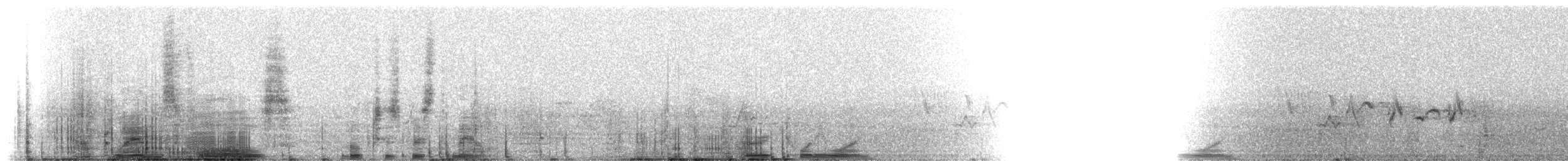 House Finch - ML216156