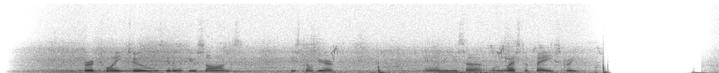 House Finch - ML216157