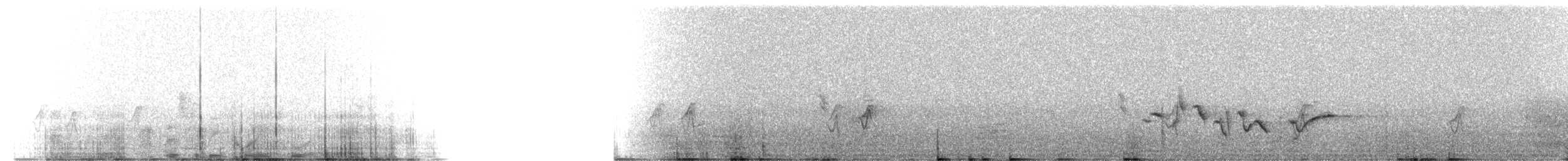 House Finch - ML216158