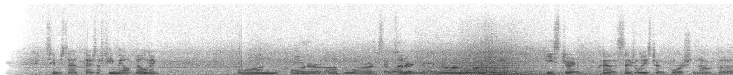 House Finch - ML216159