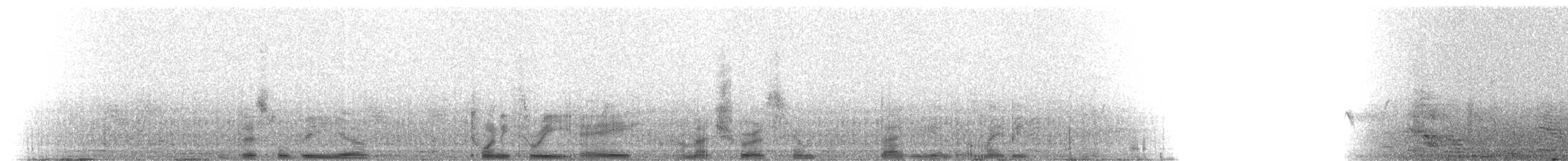 House Finch - ML216160