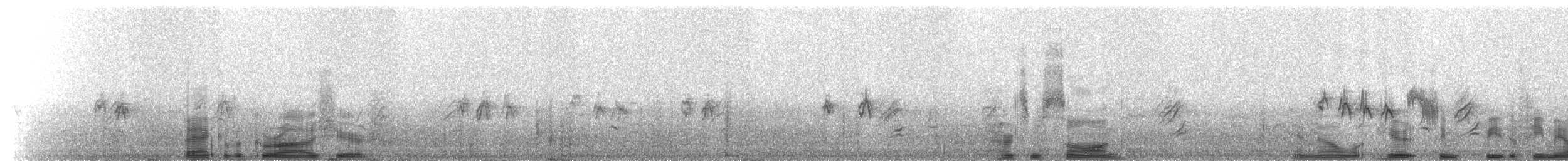 House Finch - ML216161