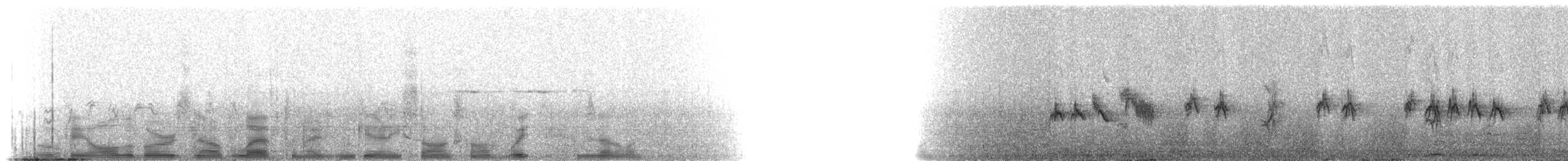 House Finch - ML216162