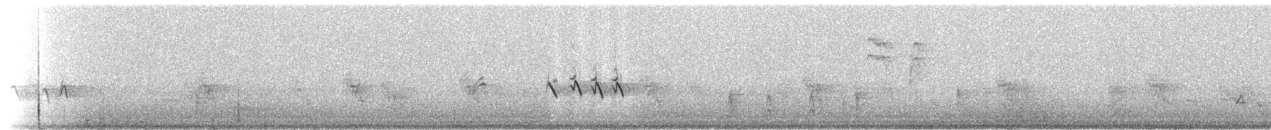 House Finch - ML216163