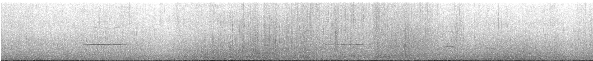 tykknebbsvarttjeld - ML216200921