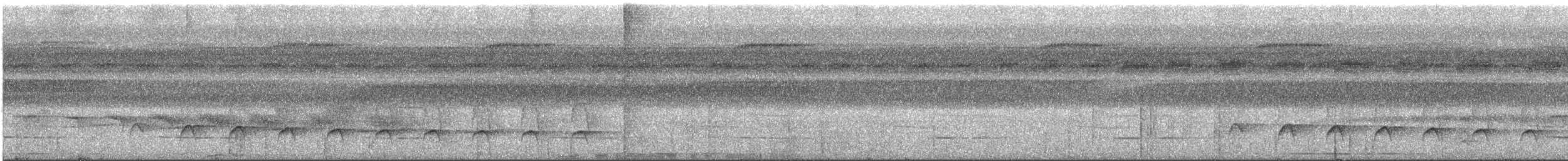White-flanked Antwren - ML216354261