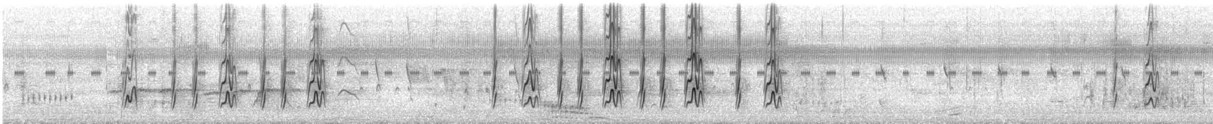 African Pygmy-Goose - ML21635711