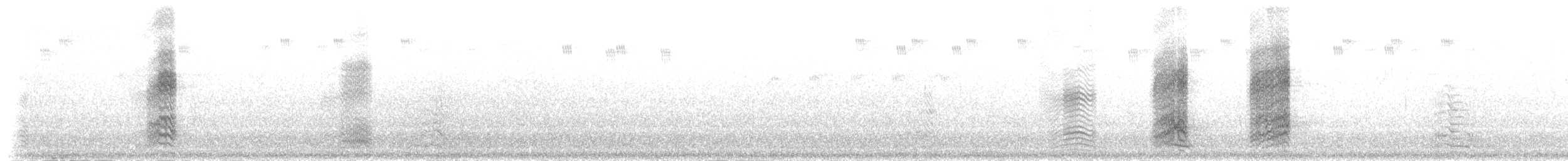 Синелобая аратинга (acuticaudatus/neumanni) - ML216371
