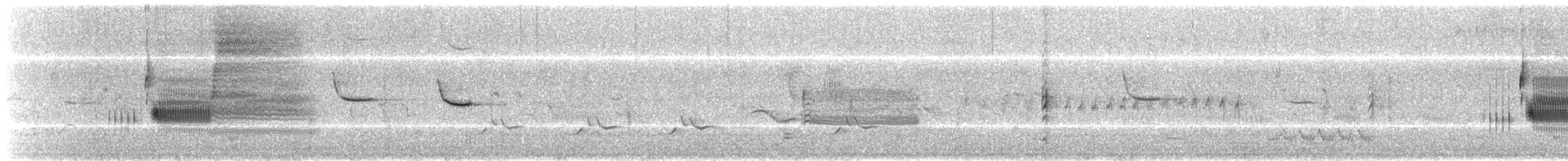 Приморская овсянка-барсучок - ML216379371