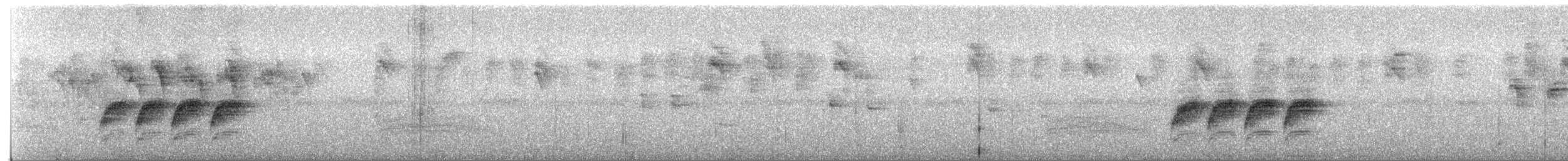 Vireo de Manglar (approximans) - ML216382071