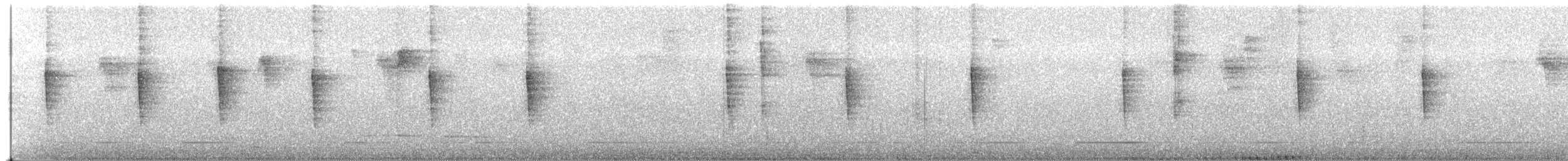 Paruline vermivore - ML216382481