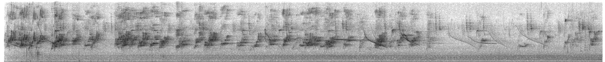 Амазон-карлик вогнистоголовий - ML216382501