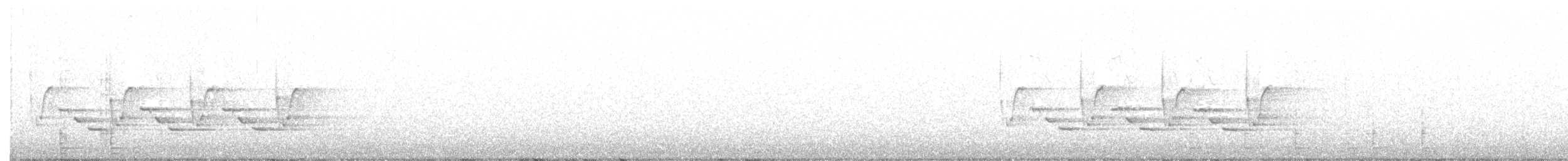 Carolina Wren - ML216426061