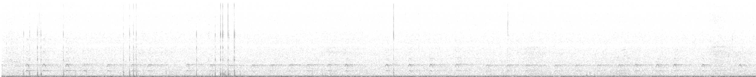 Pileated Woodpecker - ML216440221