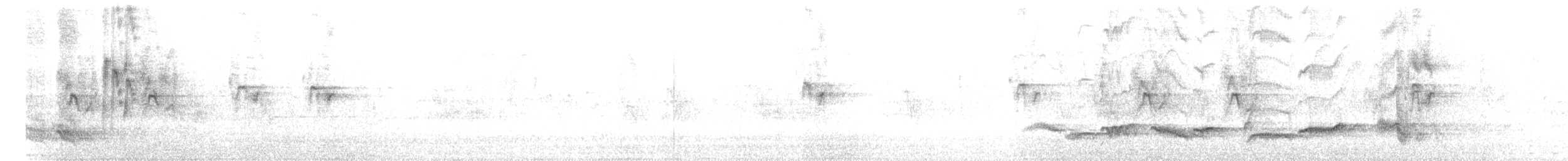 kos černý - ML216451771
