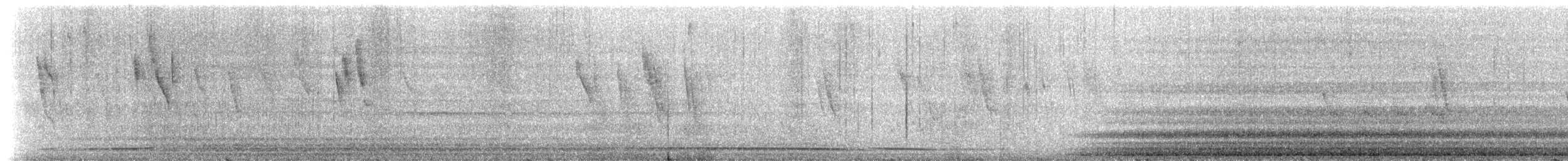 Galápagos Giant Tortoise - ML216501