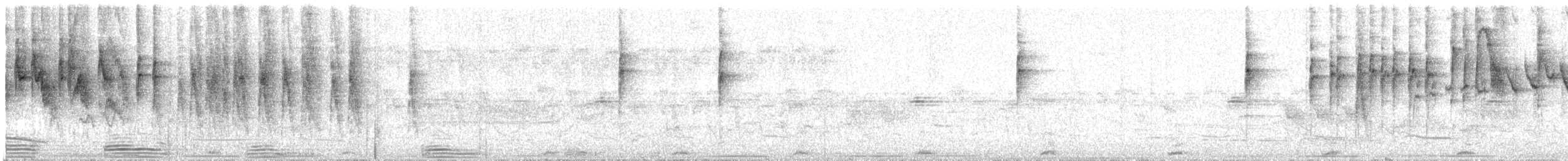 Paruline trifasciée - ML216514711