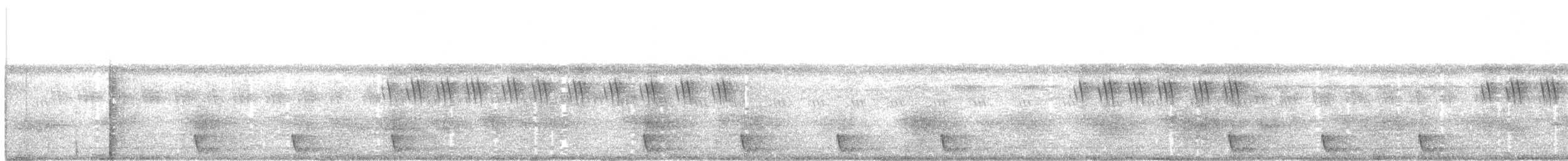 Large-tailed Nightjar - ML216551861