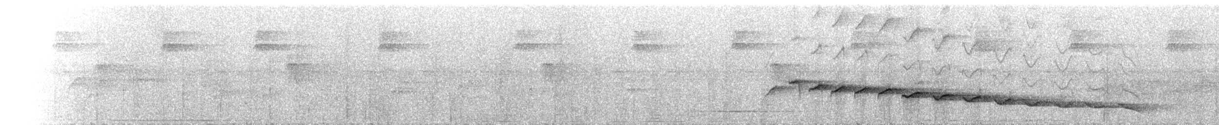 Sumichrast's Wren - ML216560