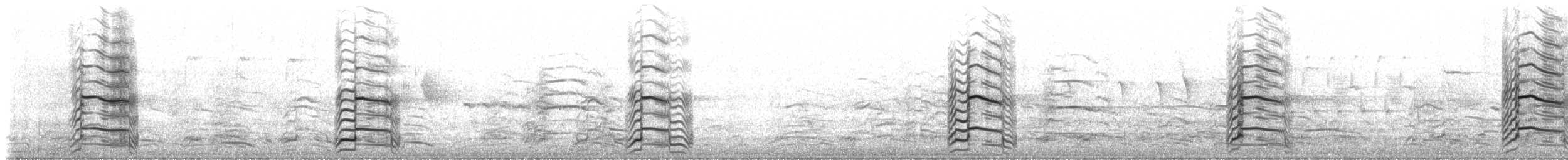 Ring-billed Gull - ML216561921