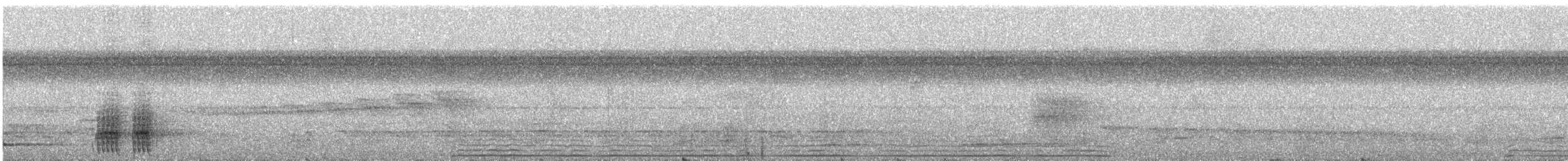 Weißbrust-Ameisenwürger - ML216603541