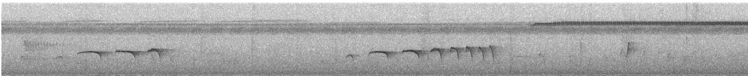 Tropfenflügel-Ameisenfänger (albicauda/intercedens) - ML216603551