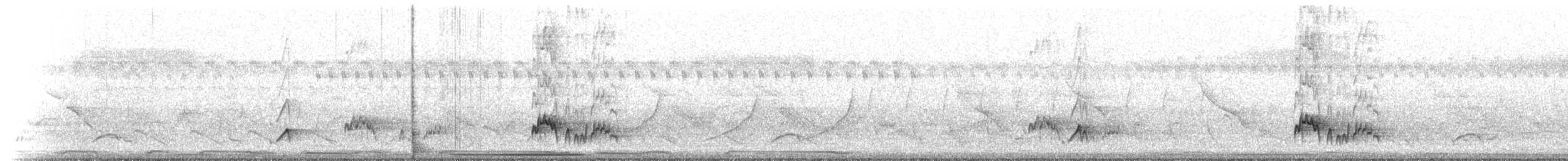 brunstenktyrann (cooperi gr.) - ML216620