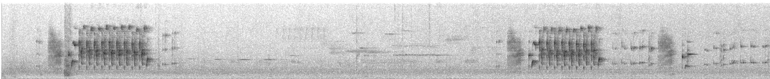Troglodyte des marais - ML21664061