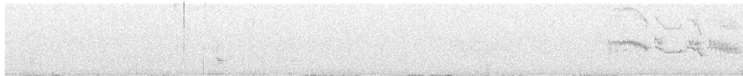 Townsend's Solitaire - ML216674721