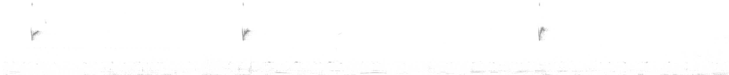 Violettbart-Helmkolibri - ML216717961